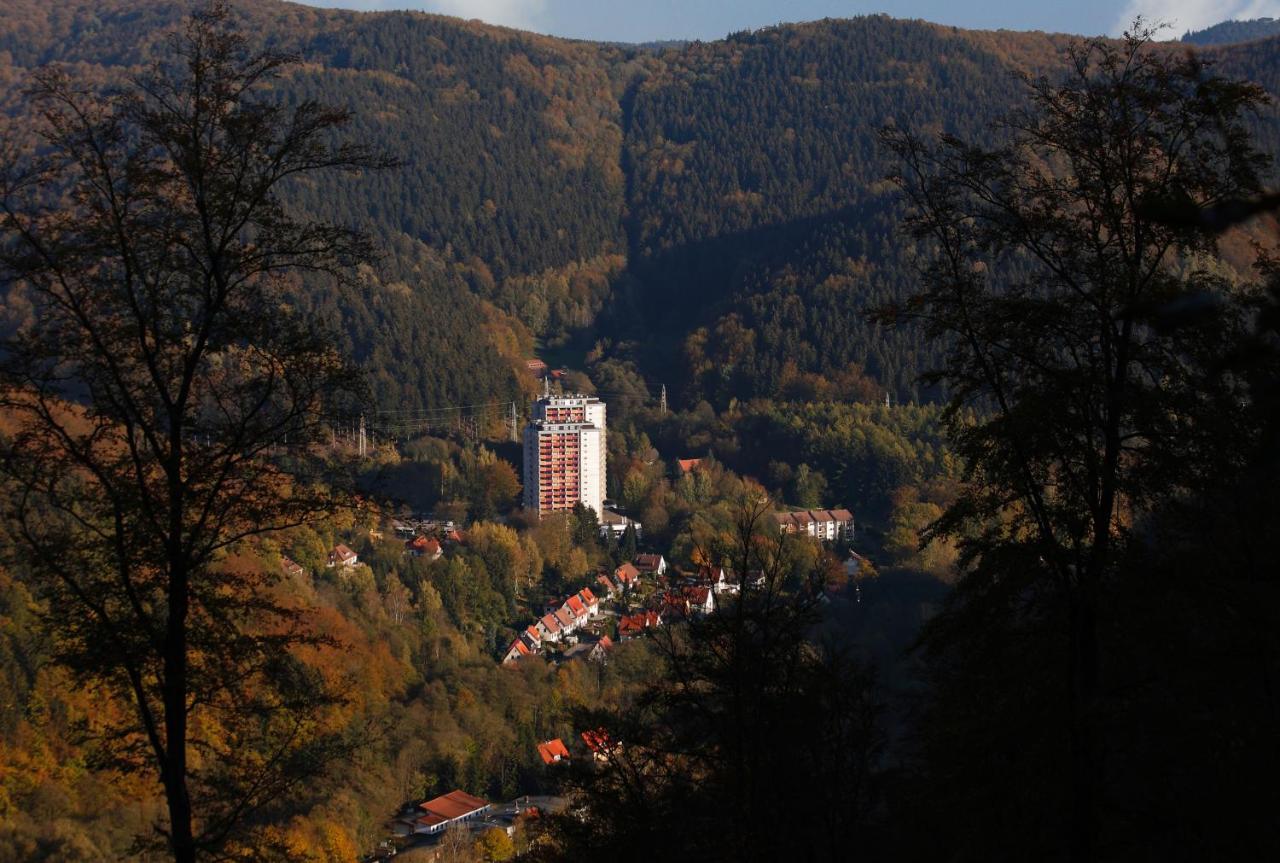 Familien Apartmenthotel Panoramic Bad Lauterberg Exteriör bild
